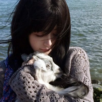 宝可梦：目标是宝可梦大师